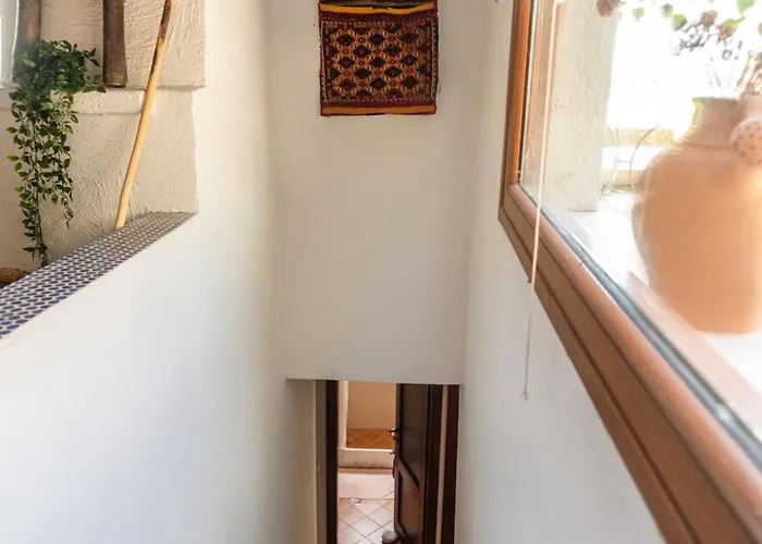 فيلة Liogerma Boutique